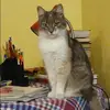 Отзыв от Кира Наумова
